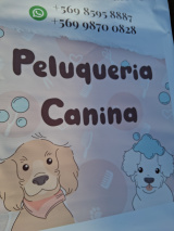 Peluquería canina