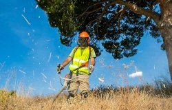 Obras Menores Lanin