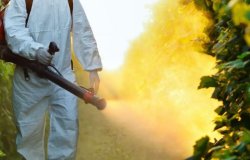Servicio de Fumigación y Pozos Norias en la zona